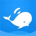 大蓝鲸 V4.2 安卓版