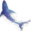 星鲨线上VR学院官方版 V1.0.0