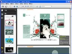 Adobe Reader PDF阅读器中文版