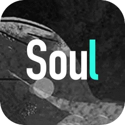 《soul》电脑版 v3.47.3 官方最新版