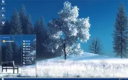 冬季大树白色雪花xp系统主题